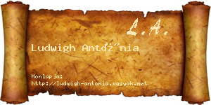 Ludwigh Antónia névjegykártya